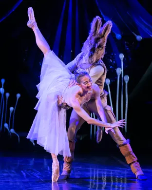 A Midsummer Night's Dream - Ballet