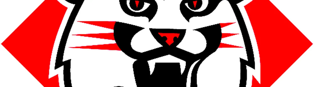Davidson Wildcats