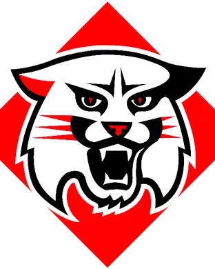 Davidson Wildcats