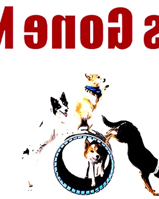 Mutts Gone Nuts event