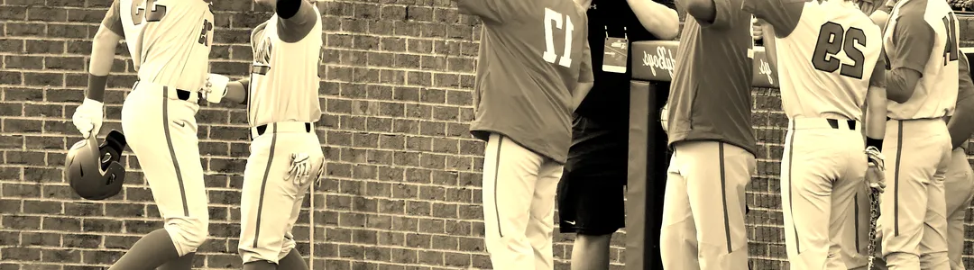 Ohio State Buckeyes Baseball