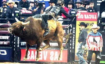 PBR - Professional Bull Riders